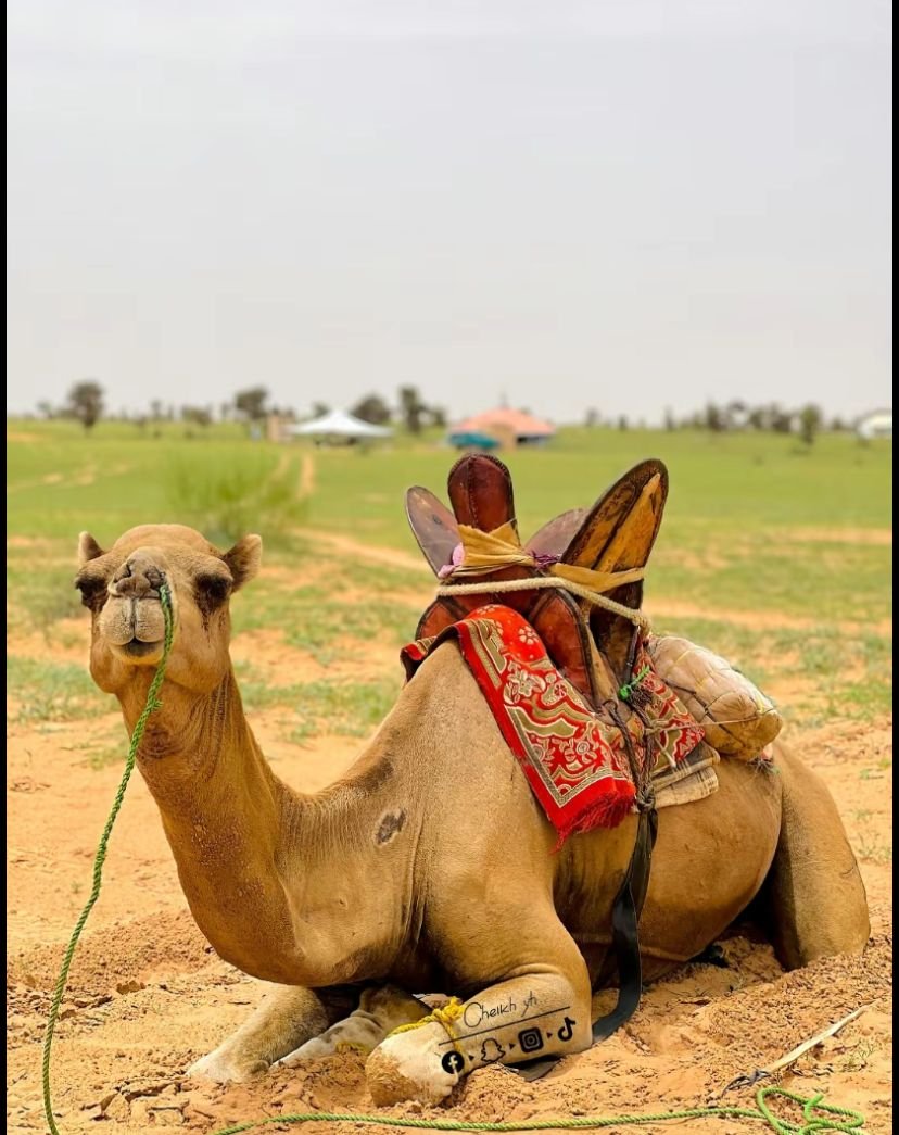 WhatsApp Image 2025-08-22 at 4.08.56 PM